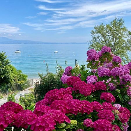 Front Lake Amazing View Манерба-дель-Гарда Экстерьер фото