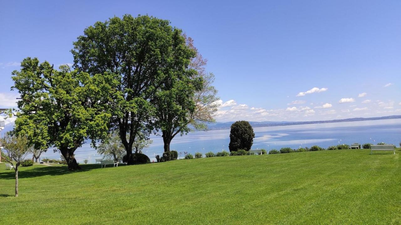 Front Lake Amazing View Манерба-дель-Гарда Экстерьер фото