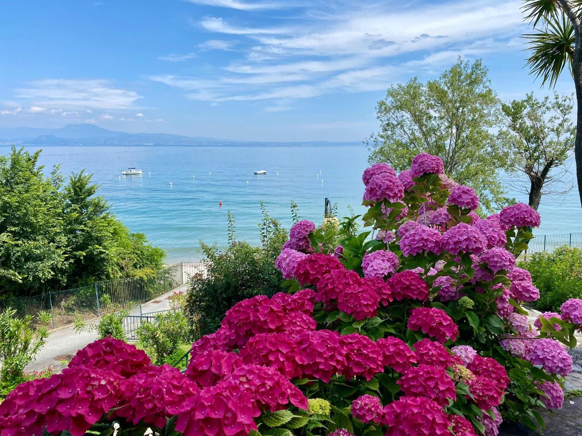 Front Lake Amazing View Манерба-дель-Гарда Экстерьер фото